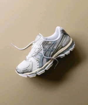 Asiccs Gel-Kayano 12.1 Dolphin Grey