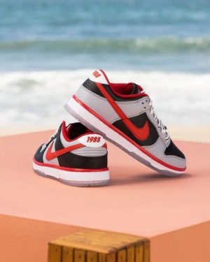 Dunk Low Clark Atlanta University