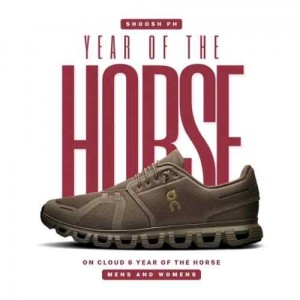 ON Cloud 6 year of the horse grizzly 593