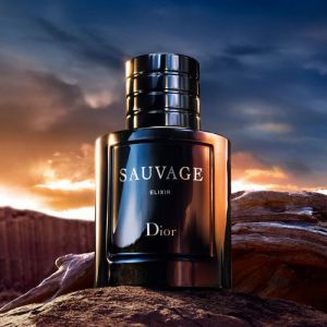 DIO SAUVAGE ELIXIR 285