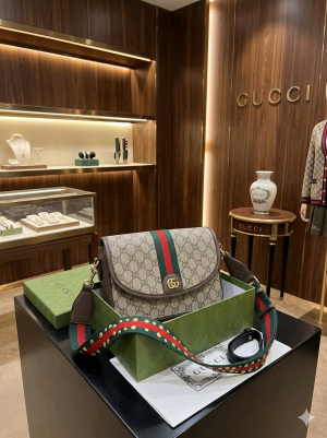Guucci_ophidia gg shoulder brown color bag with og box