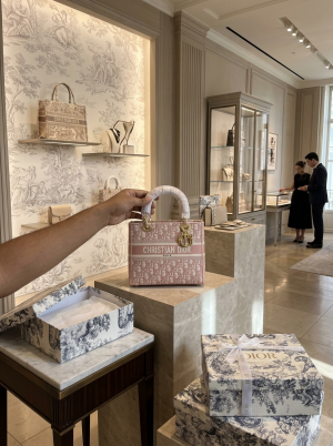 Christan_dioor_embroidary lady bag with og box(Pink))