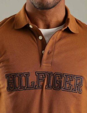 Tommy Brown Imported 240 GSM Interlock Lycra Fabric Polo Tshirt with Front Design and Embroidered Logo 4384