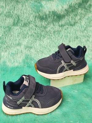 Tiger sports