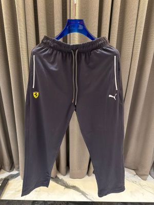 Pum_Ferrari Edition Track Pants Grey
