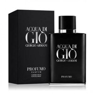 Giorgio Arma Acqua Di Gio Parfumo 100ML (109)