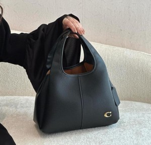 Coaach_lana hand bag premium quality with box