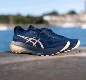 Asicss Gel Kayano 31 Platinum Blue