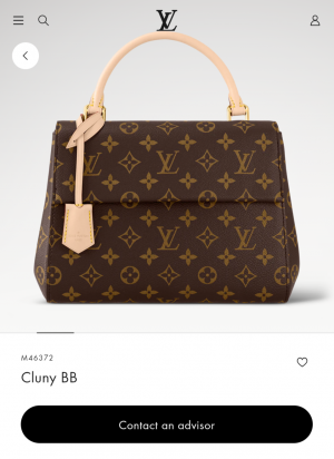 Louiis Vuitton Cluny Mini Monogram Brown Top Handle detachable Woven Shoulder Strap With OG Box Dust Cover & Carry Bag 22617 Presbyopia
