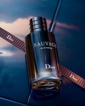 _Premium_Sauvage_Dio_EDT_100ML