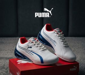PUMMA MOTORSPORT GT EDITION WITH OG BOX FIX