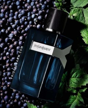 Yves Saint Laurent Y Eau De Parfum Intense 100ML (496)
