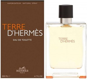 Herme paris terre d Herme edt 100ml (431)