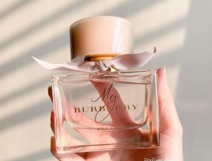 My Burberr Blush 100ML (236)