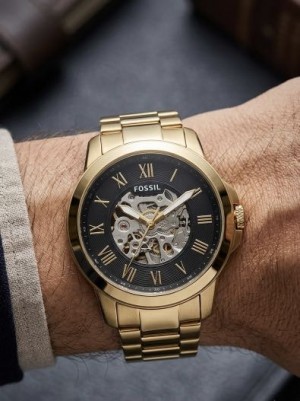 Fossil Skeleton Automatic