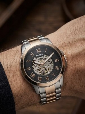 Fossil Skeleton Automatic
