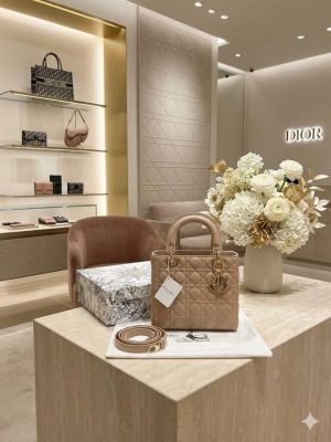 Diior_Lady My D Lite E Luxurious Quality With OG Box & Dust Bag (Glossy)