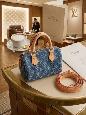 louiis Vuitton Nano Speedy Monogram Canvas Bag Coffee With OG Box & Dust cover