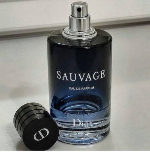 Dio Sauvage eau de parfum 100ML