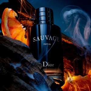Sauvage_Dior_EAU_DE_Perfume_100ML