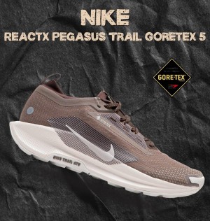 Ni_ke pegasus trail 5 gore-tex sp