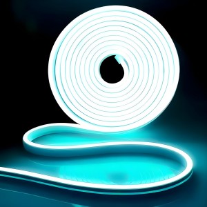 Neon LED Strip Light