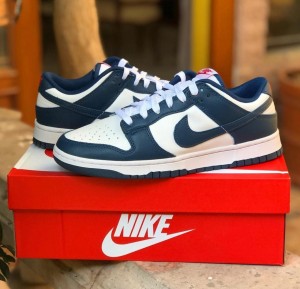 Nike Dunk Low Valerian Blue Mens Sneakers