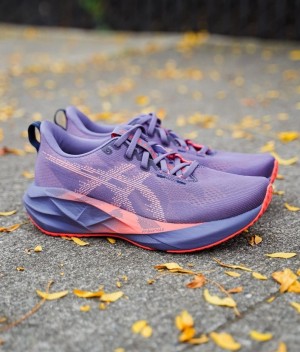 A_sics Novablast 5 PURPLE CORAL REEF