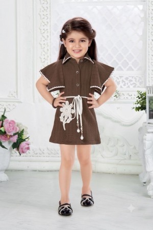Beautiful Brown A-Line Western Casual Dress for Girls with Butterfly Sleeves