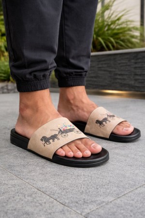 Coa_ch  bape rainbow horse beige slide.