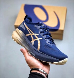 A_sics Gel Kayano 31 Platinum Blue
