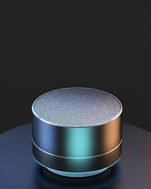 Mini Bluetooth Speaker