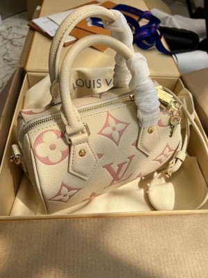   Louis Vuitton bag